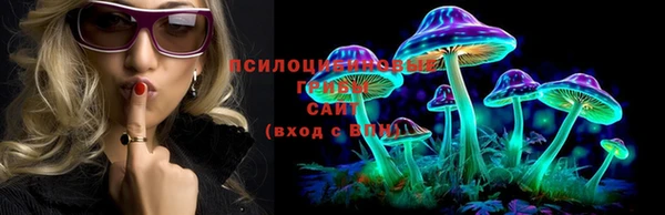 бутират Сатка