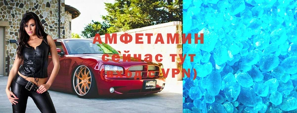 прущие грибы Вуктыл