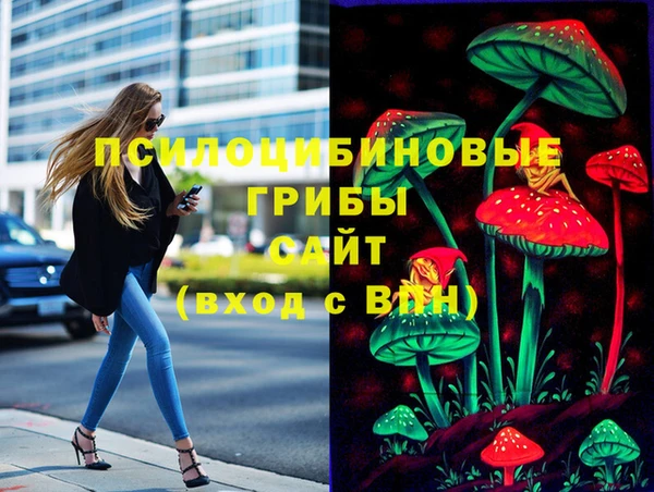 бутират Сатка