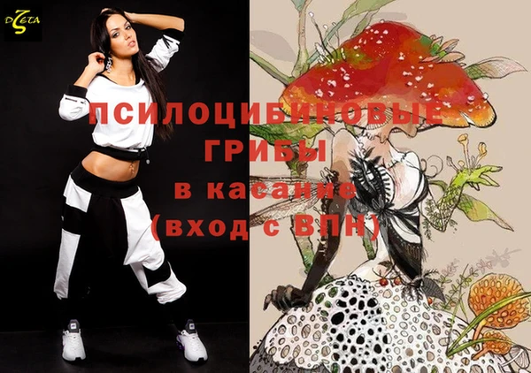бутират Сатка
